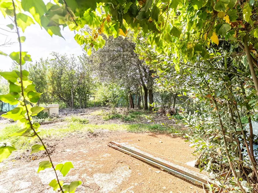 Immagine 7 di Appartamento in vendita  a Empoli