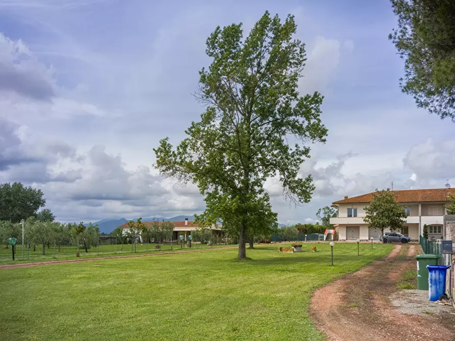 Immagine 33 di Porzione di casa in vendita  a Casciana Terme Lari