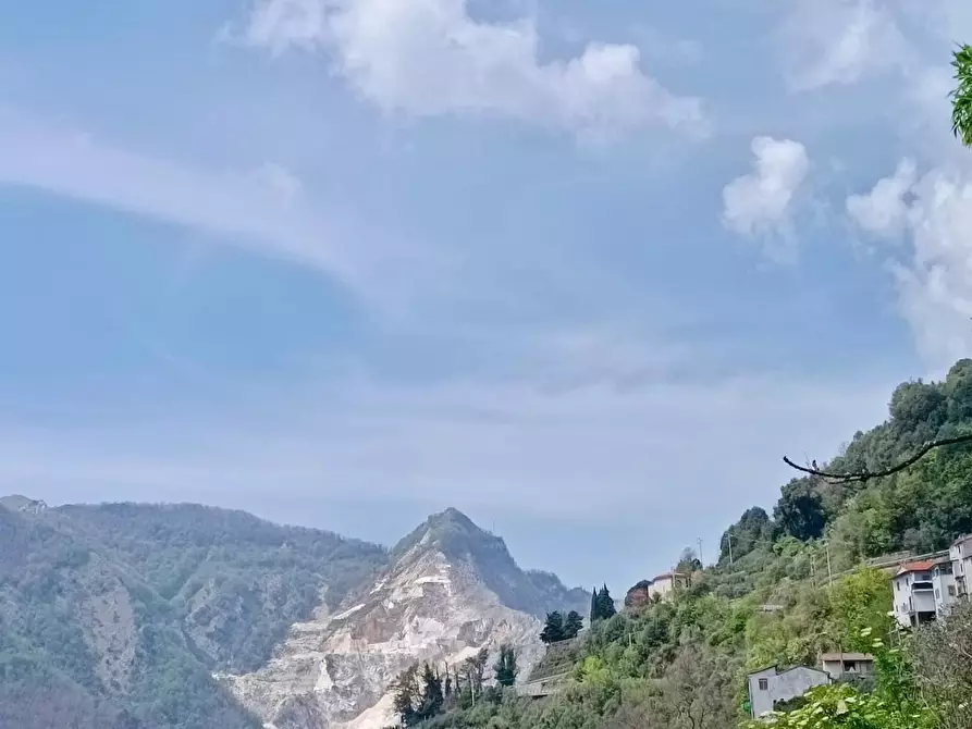 Immagine 18 di Appartamento in vendita  a Massa