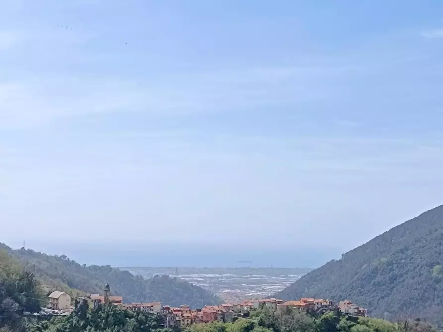 Immagine 1 di Appartamento in vendita  a Massa