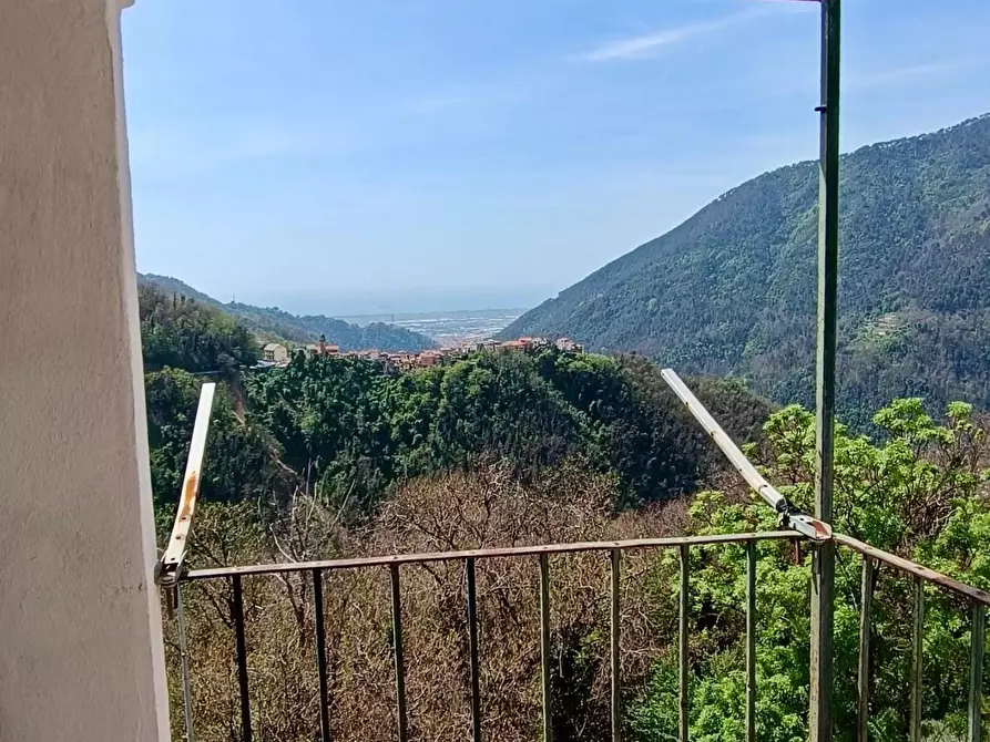 Immagine 14 di Appartamento in vendita  a Massa