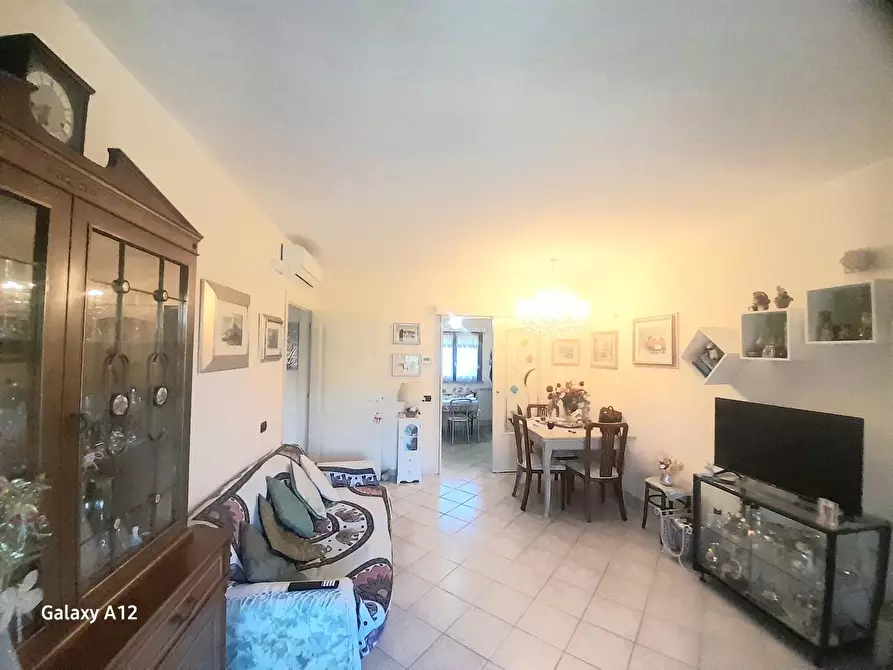 Immagine 3 di Appartamento in vendita  a San Giuliano Terme