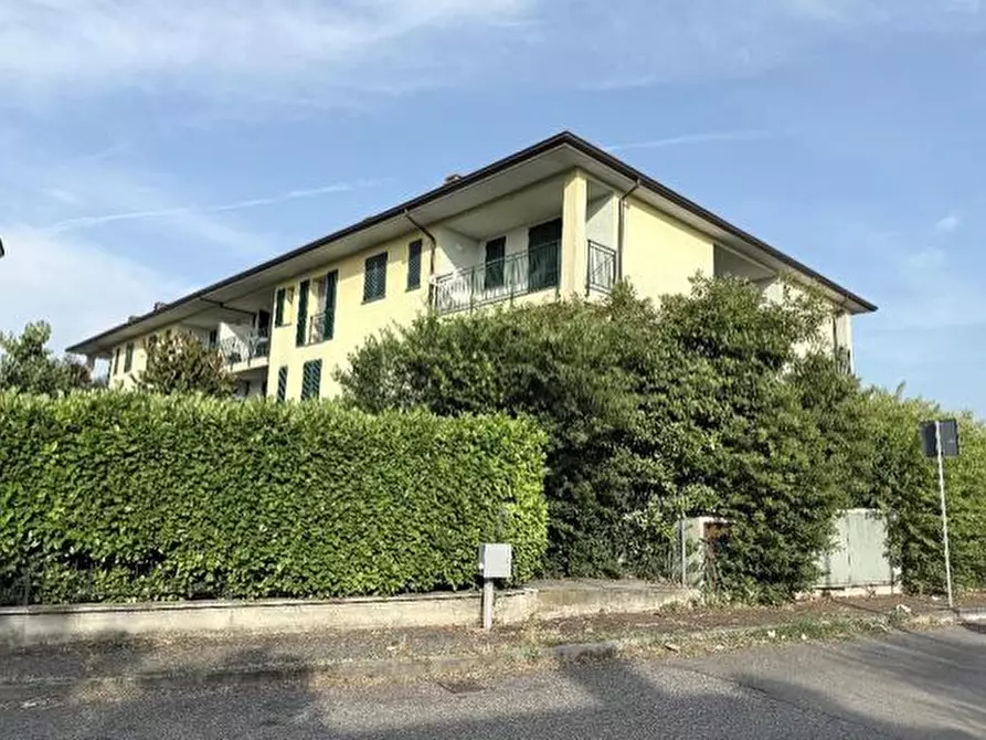 Immagine 17 di Terratetto in vendita  a Broni