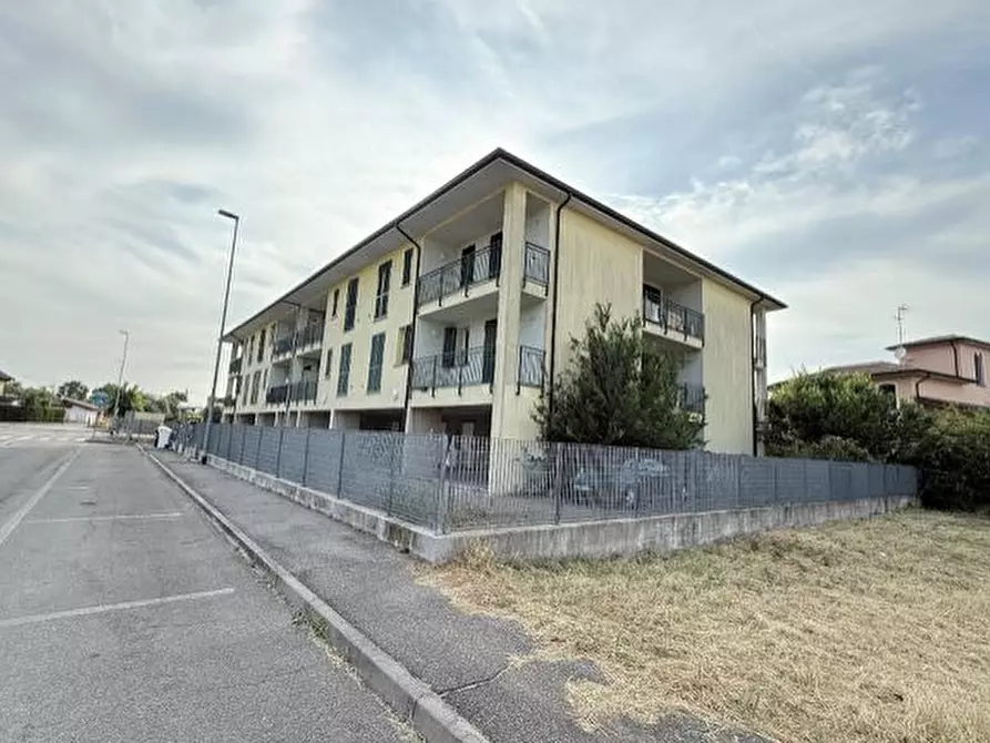 Immagine 3 di Terratetto in vendita  a Broni