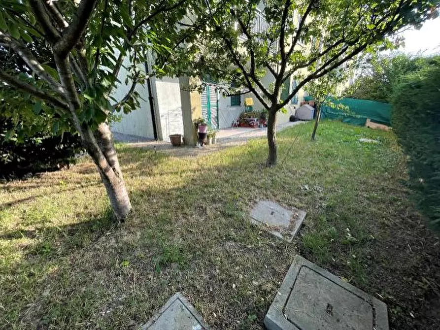 Immagine 63 di Terratetto in vendita  a Broni