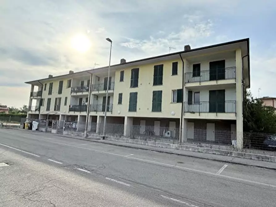 Immagine 5 di Terratetto in vendita  a Broni