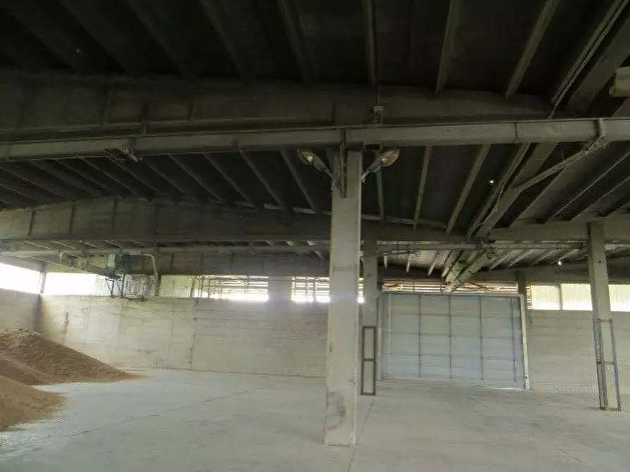 Immagine 25 di Villa in vendita  a Ozzero