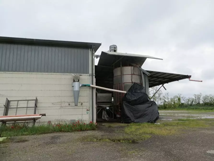 Immagine 22 di Villa in vendita  a Ozzero