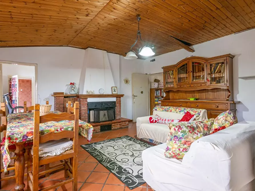 Immagine 32 di Terratetto in vendita  a Bientina