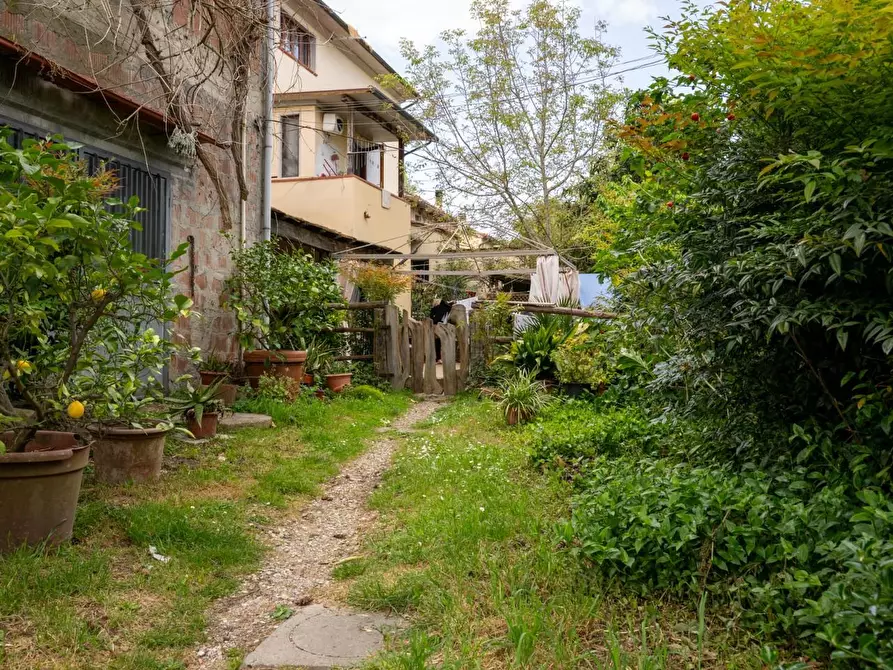 Immagine 50 di Terratetto in vendita  a Bientina