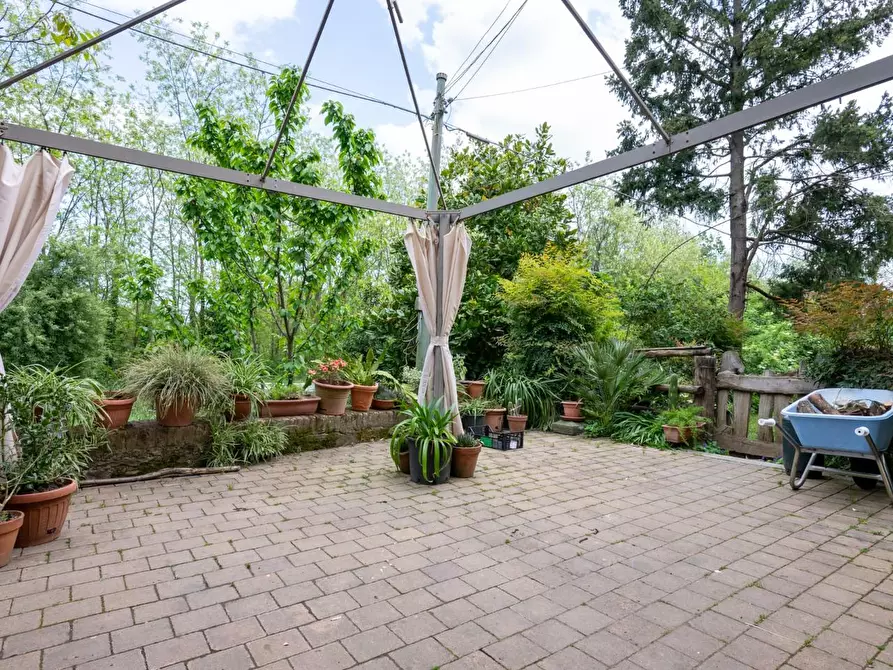 Immagine 48 di Terratetto in vendita  a Bientina