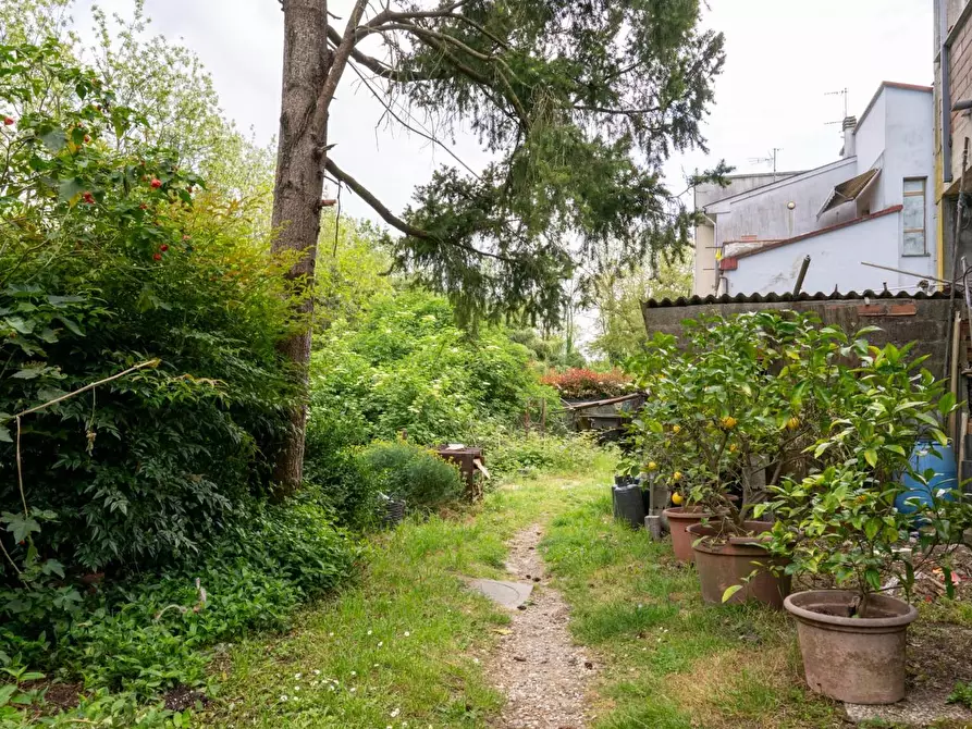 Immagine 49 di Terratetto in vendita  a Bientina