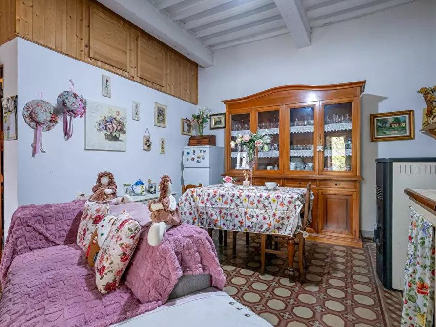 Immagine 17 di Terratetto in vendita  a Bientina