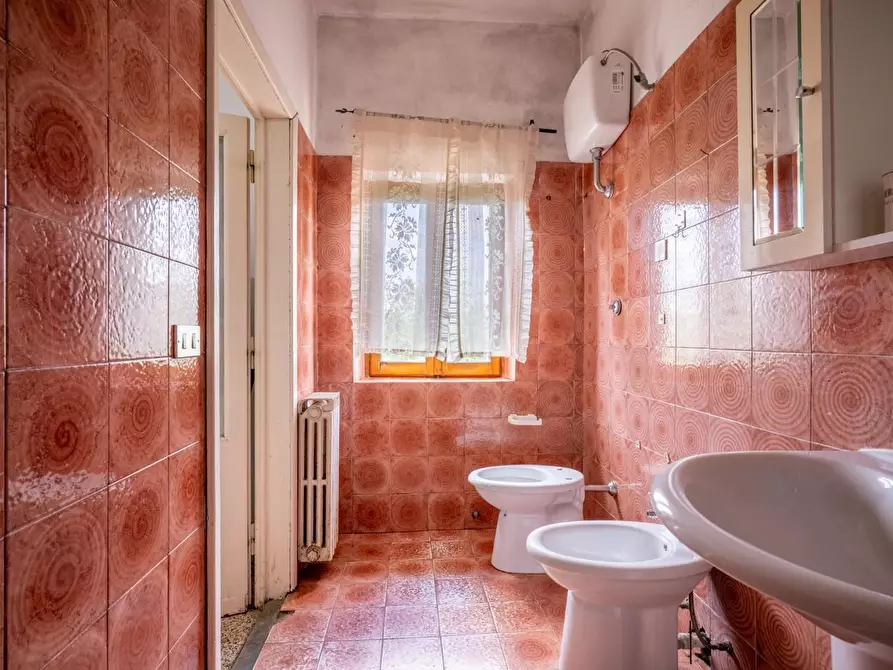 Immagine 42 di Terratetto in vendita  a Bientina