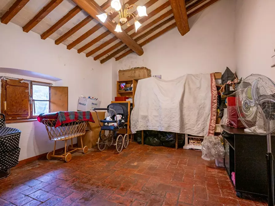 Immagine 43 di Terratetto in vendita  a Bientina