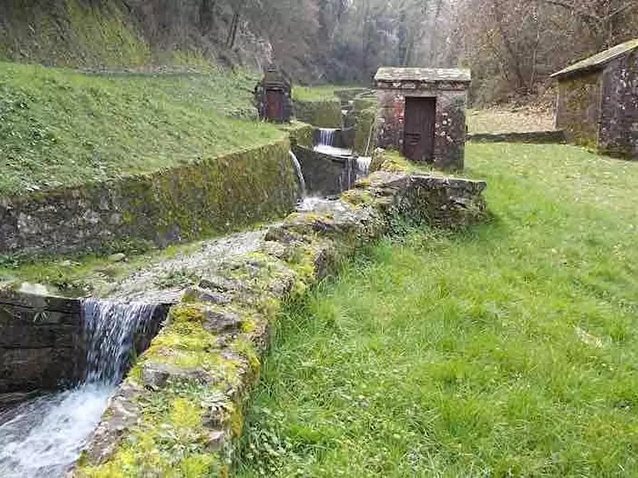 Immagine 4 di Terratetto in vendita  a Capannori