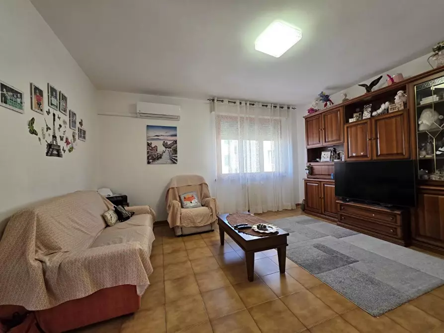 Immagine 5 di Appartamento in vendita  a Collesalvetti