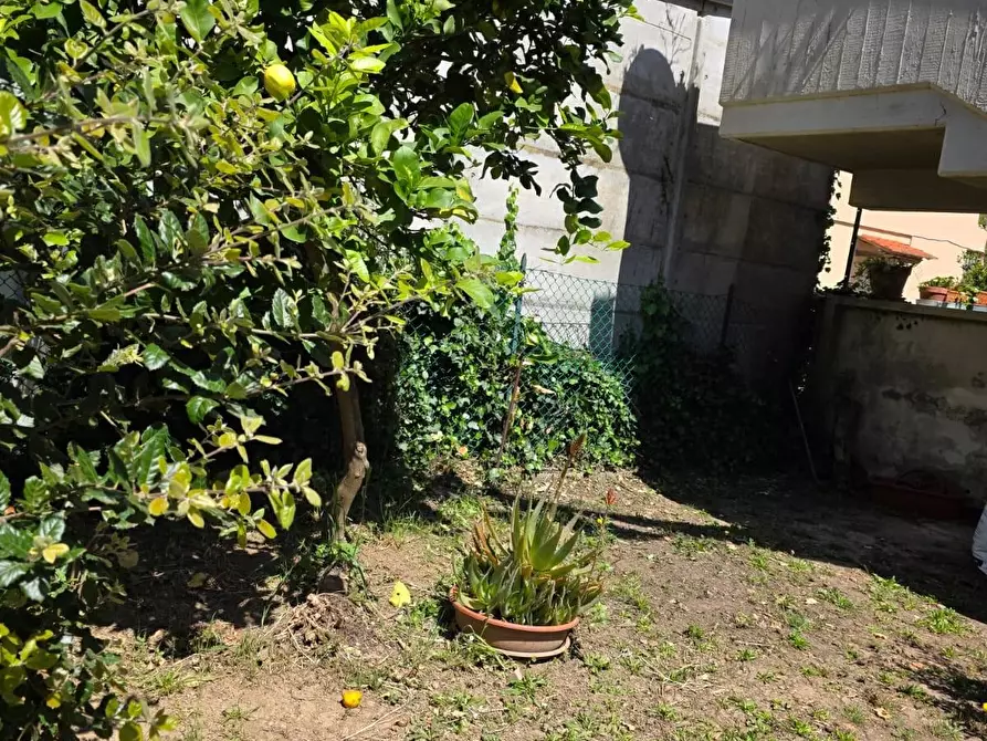 Immagine 12 di Appartamento in vendita  a Collesalvetti