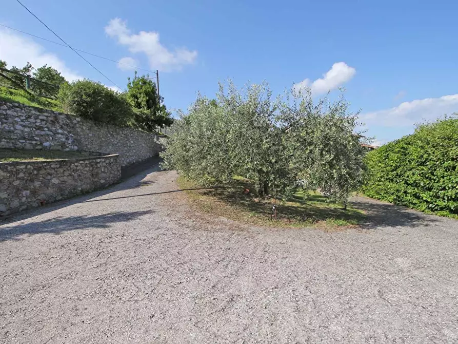 Immagine 2 di Rustico / casale in vendita  a Lucca