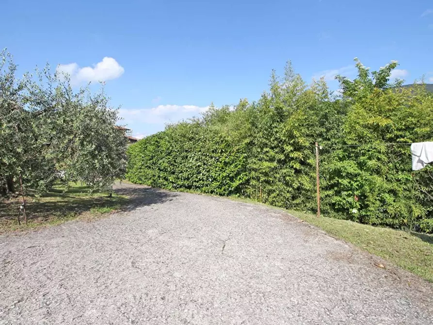 Immagine 3 di Rustico / casale in vendita  a Lucca