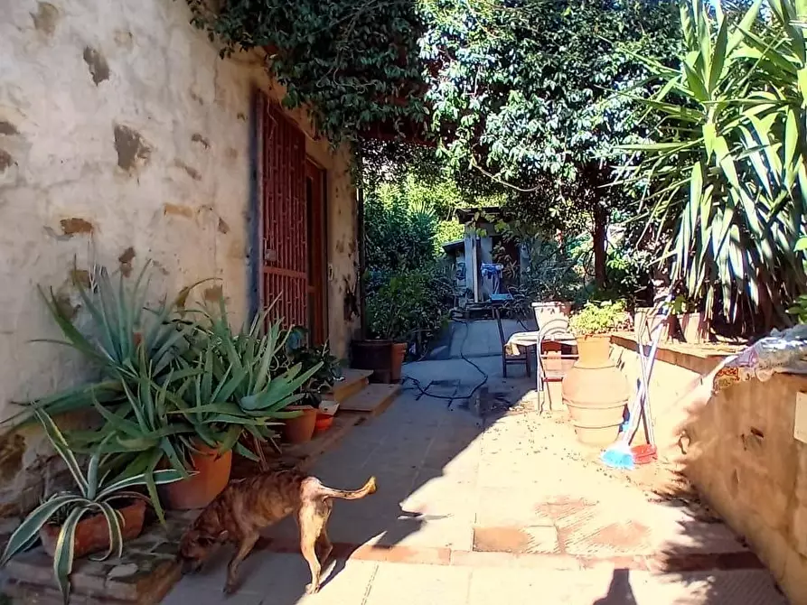 Immagine 4 di Terratetto in vendita  a Massarosa