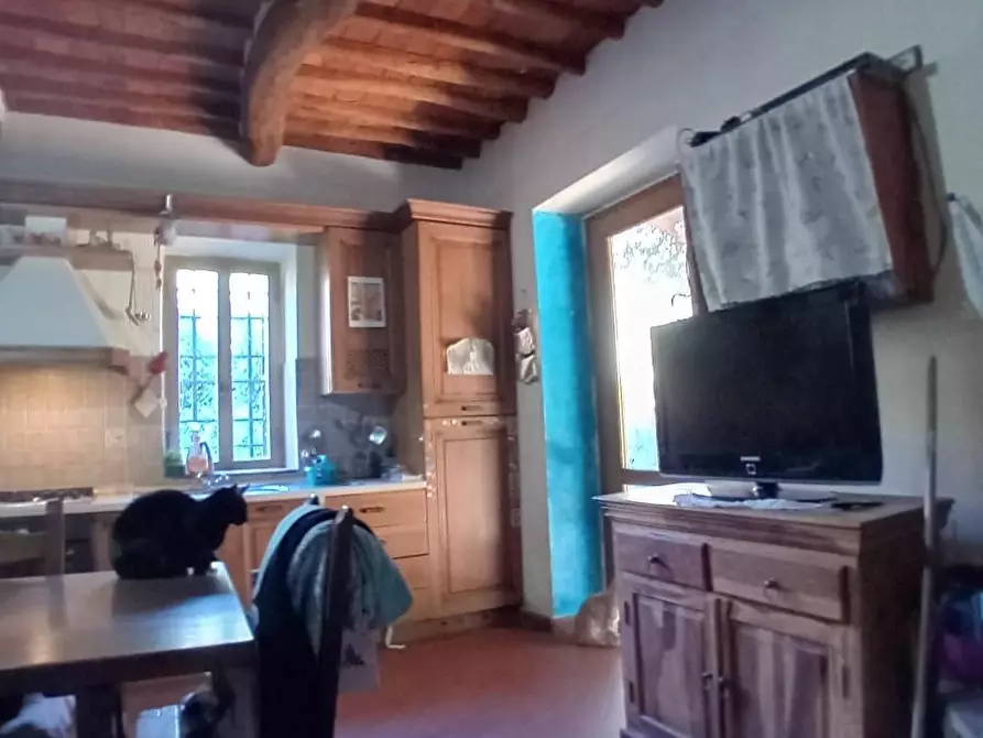 Immagine 7 di Terratetto in vendita  a Massarosa