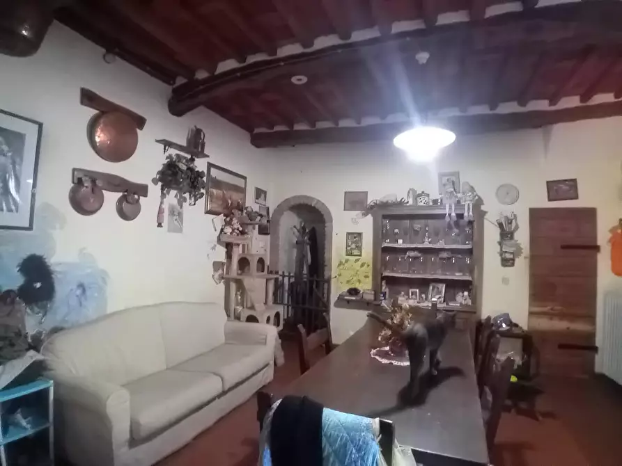 Immagine 8 di Terratetto in vendita  a Massarosa