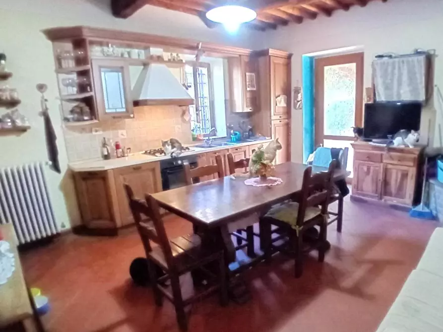 Immagine 6 di Terratetto in vendita  a Massarosa