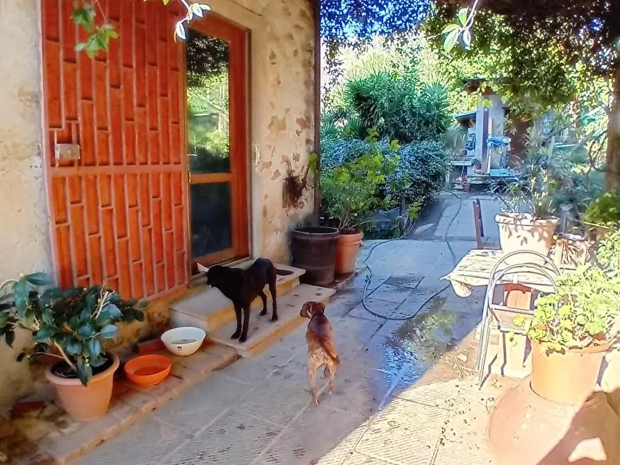 Immagine 1 di Terratetto in vendita  a Massarosa