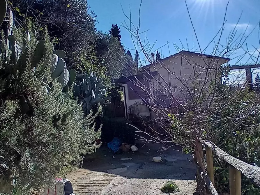 Immagine 5 di Terratetto in vendita  a Massarosa