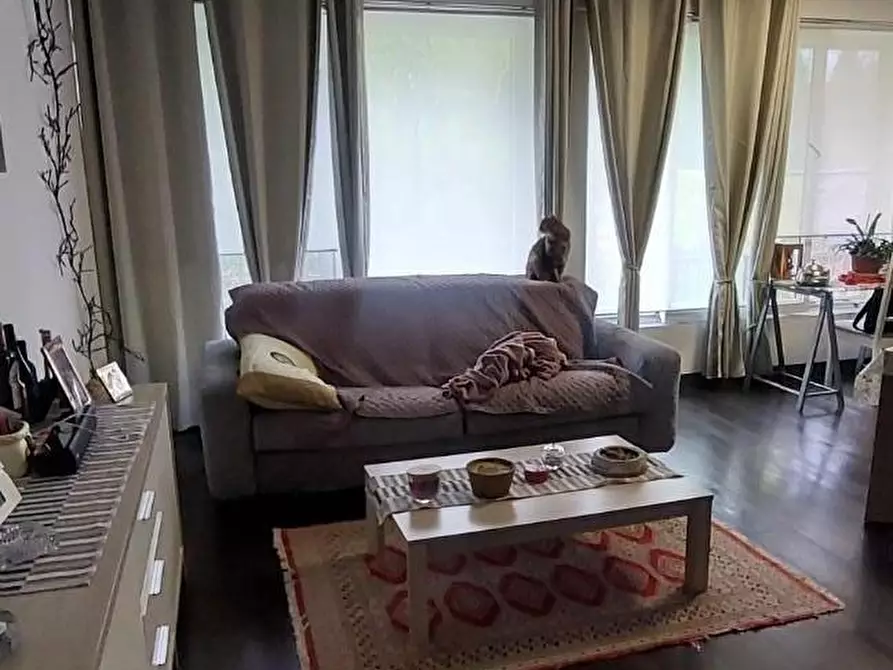 Immagine 11 di Mansarda in vendita  a Carrara