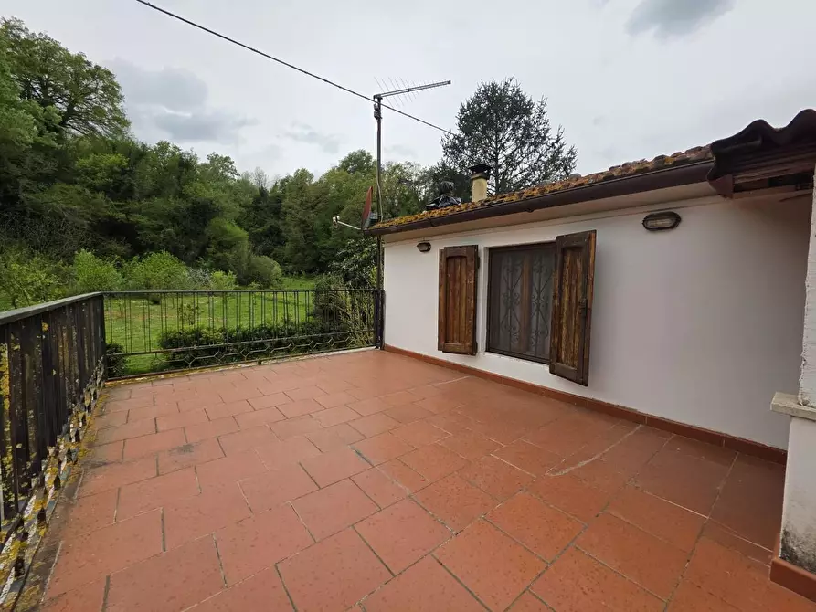 Immagine 16 di Casa indipendente in vendita  a Crespina Lorenzana