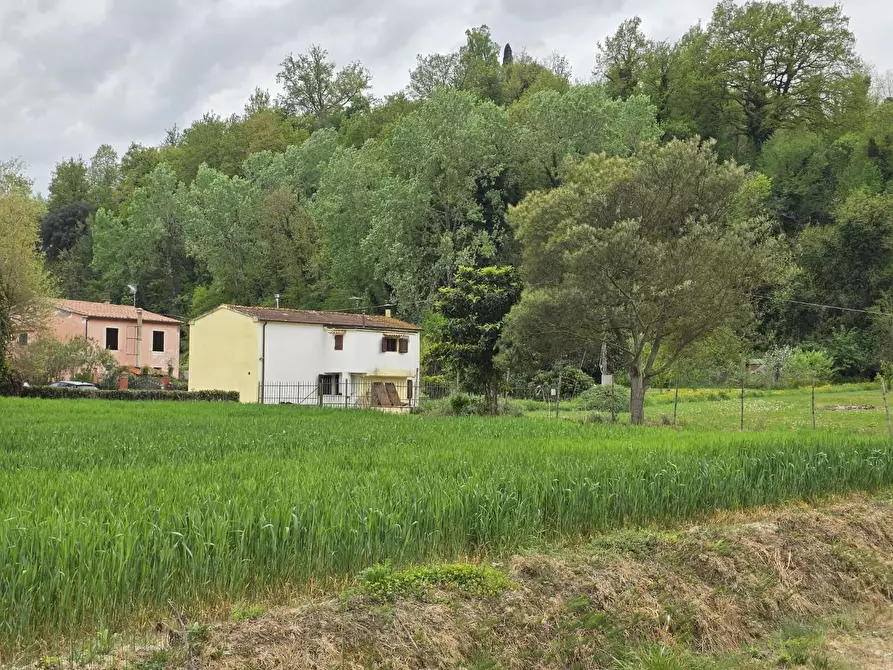 Immagine 86 di Casa indipendente in vendita  a Crespina Lorenzana