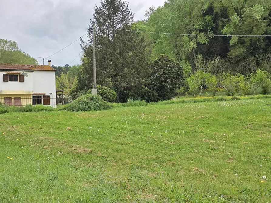 Immagine 75 di Casa indipendente in vendita  a Crespina Lorenzana