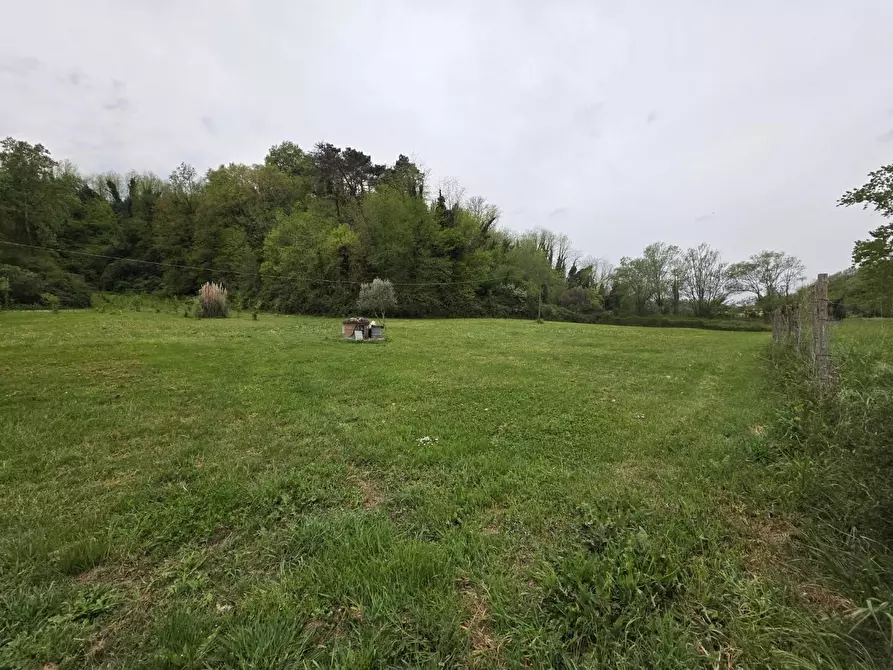 Immagine 77 di Casa indipendente in vendita  a Crespina Lorenzana