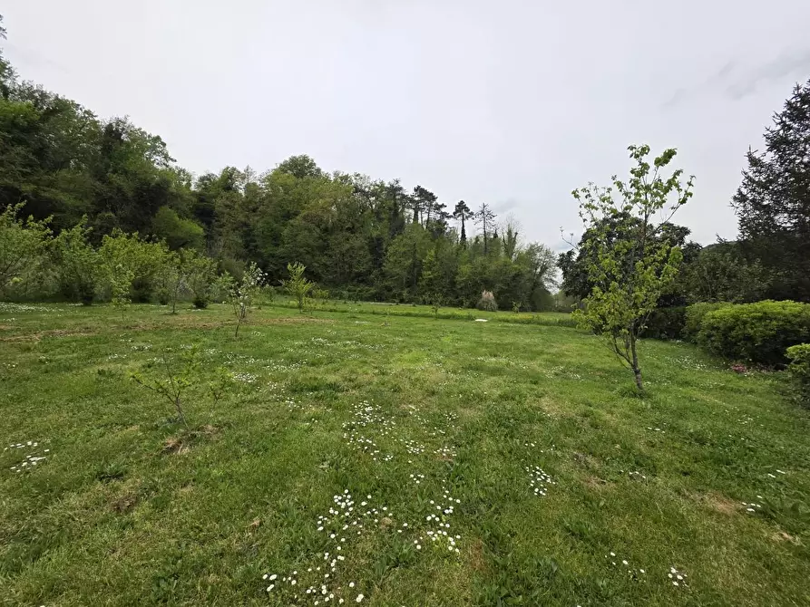 Immagine 67 di Casa indipendente in vendita  a Crespina Lorenzana