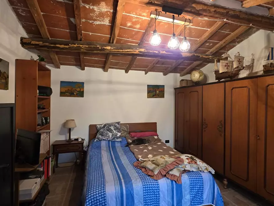 Immagine 49 di Casa indipendente in vendita  a Crespina Lorenzana