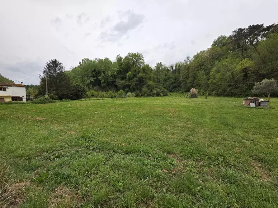 Immagine 78 di Casa indipendente in vendita  a Crespina Lorenzana