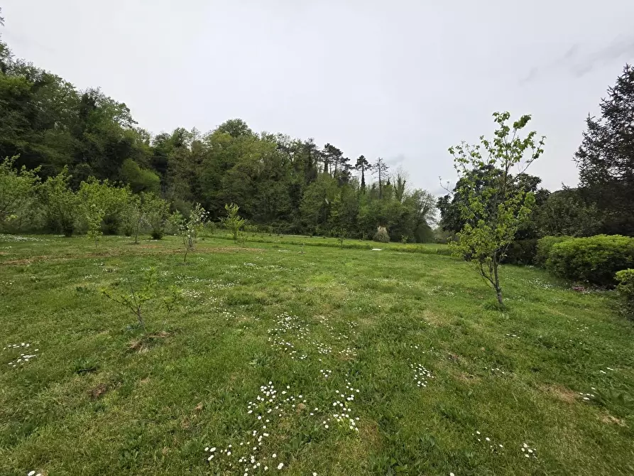 Immagine 68 di Casa indipendente in vendita  a Crespina Lorenzana