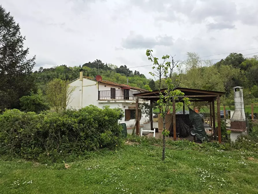 Immagine 65 di Casa indipendente in vendita  a Crespina Lorenzana