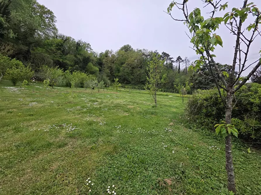 Immagine 70 di Casa indipendente in vendita  a Crespina Lorenzana