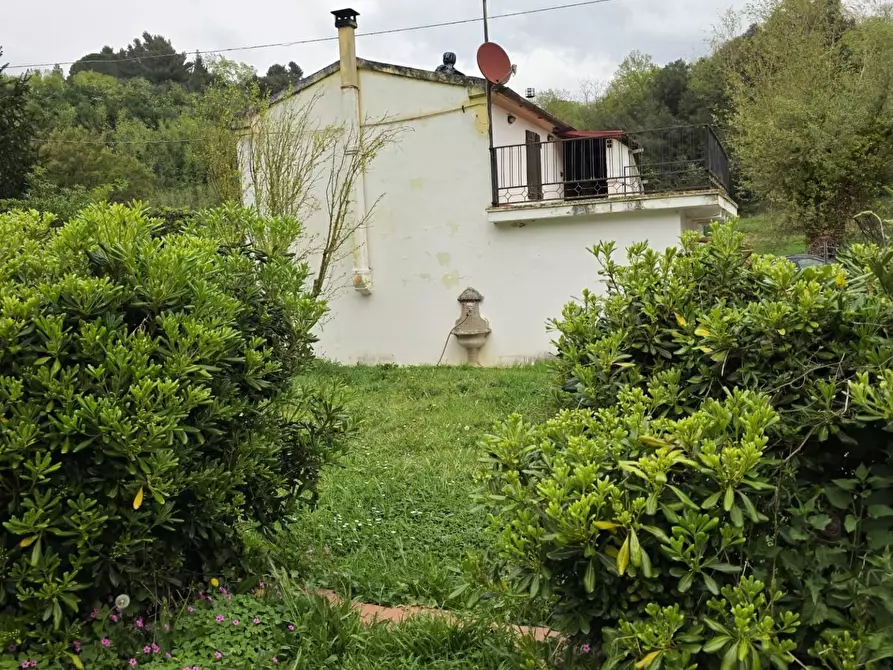 Immagine 74 di Casa indipendente in vendita  a Crespina Lorenzana