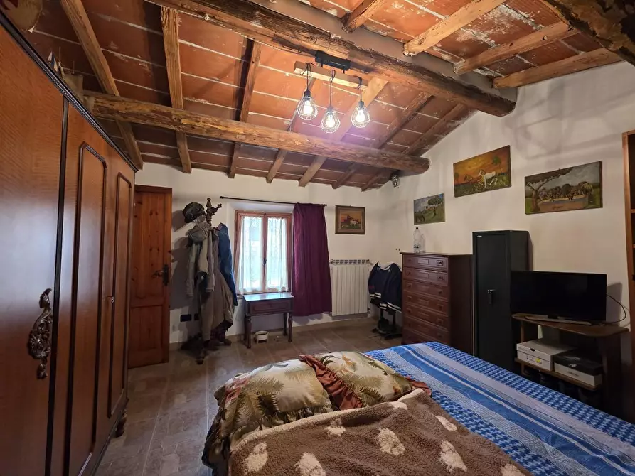 Immagine 32 di Casa indipendente in vendita  a Crespina Lorenzana