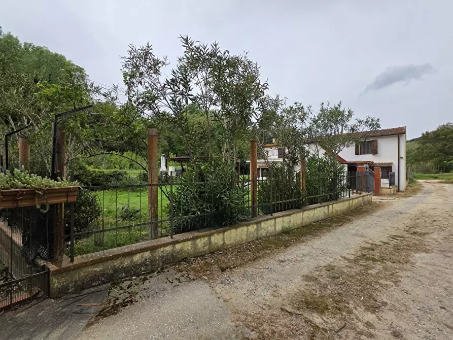 Immagine 79 di Casa indipendente in vendita  a Crespina Lorenzana