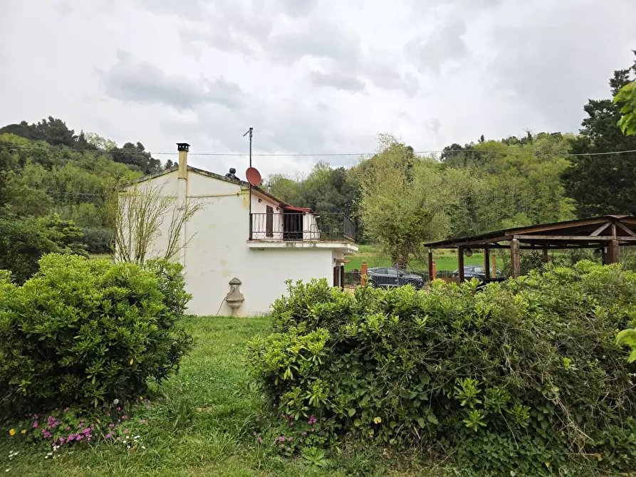 Immagine 63 di Casa indipendente in vendita  a Crespina Lorenzana