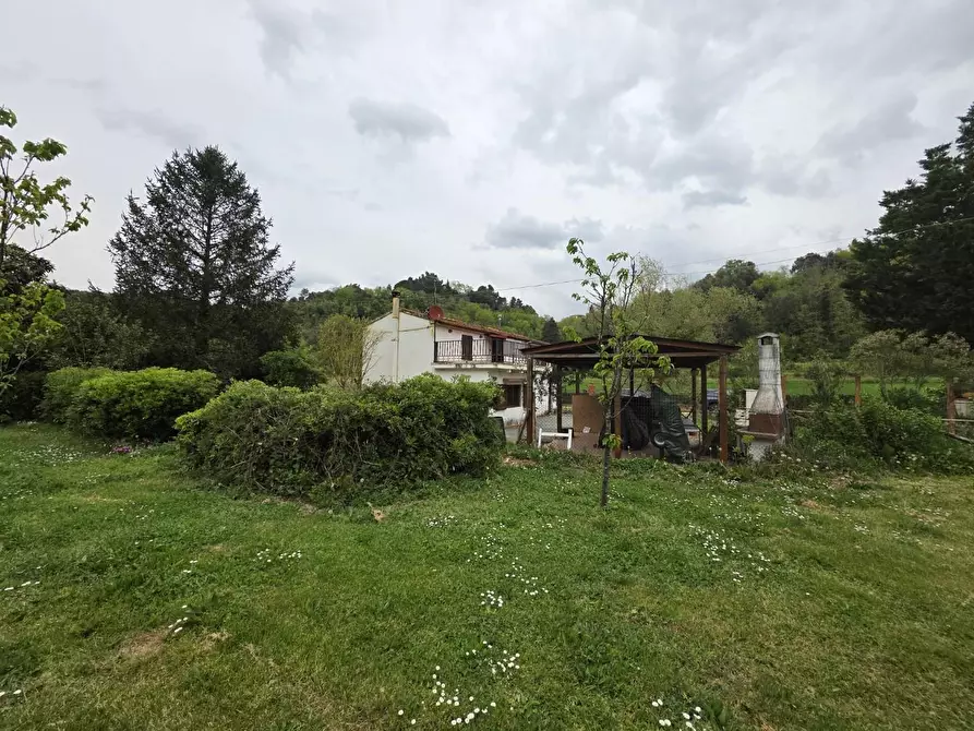 Immagine 66 di Casa indipendente in vendita  a Crespina Lorenzana