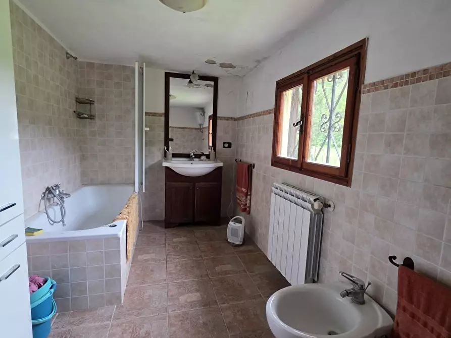 Immagine 29 di Casa indipendente in vendita  a Crespina Lorenzana