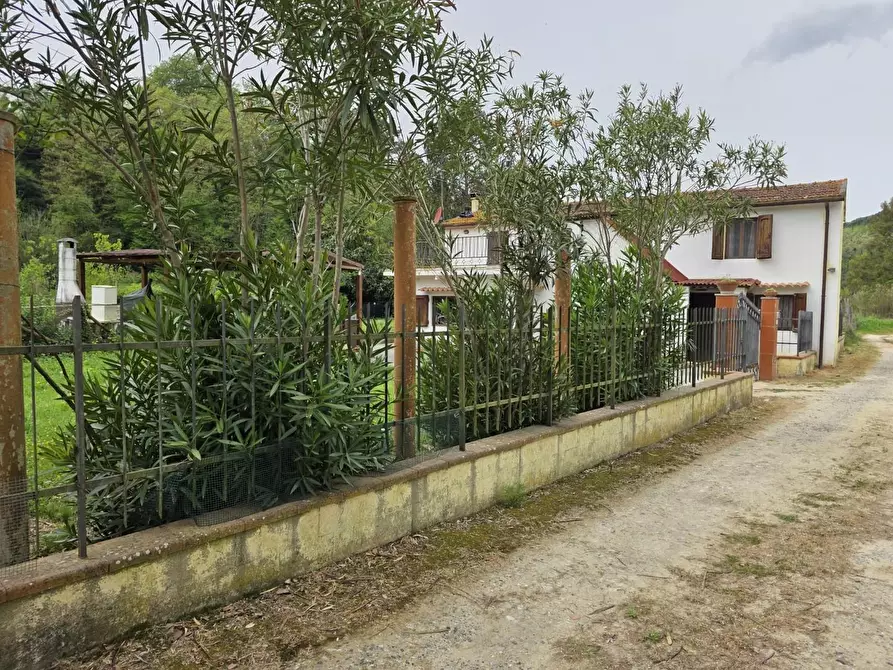 Immagine 80 di Casa indipendente in vendita  a Crespina Lorenzana