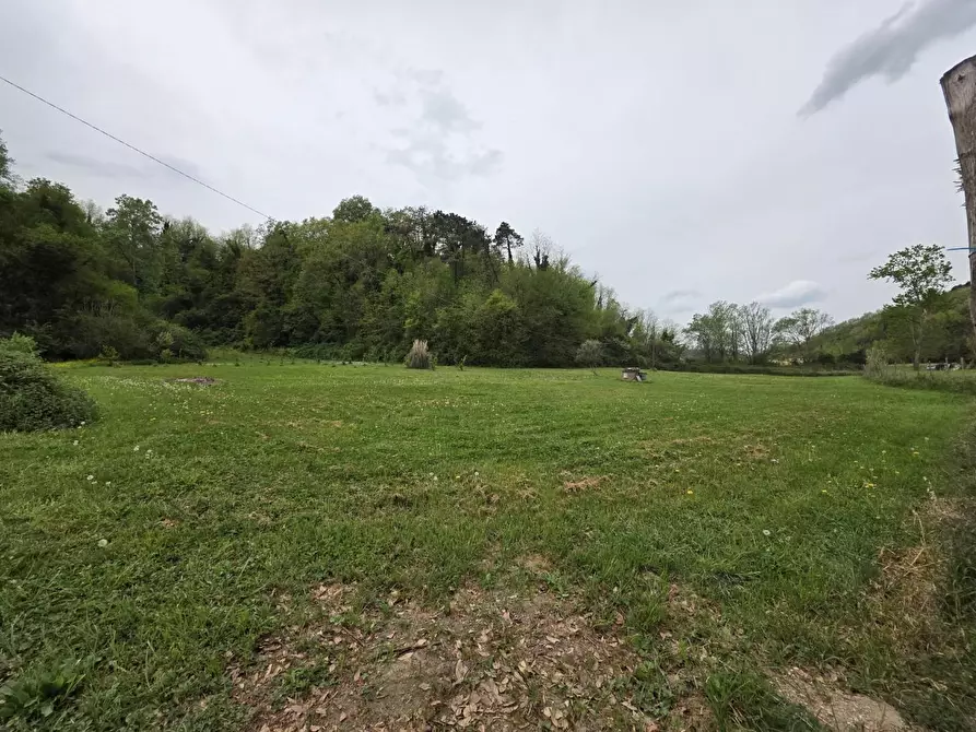 Immagine 87 di Casa indipendente in vendita  a Crespina Lorenzana