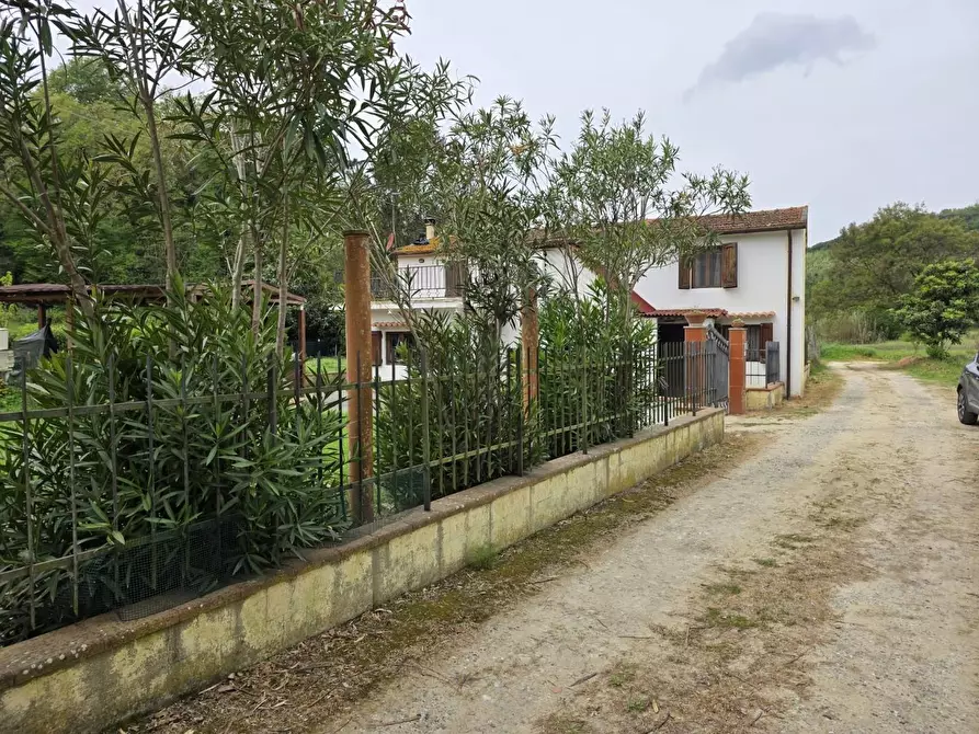 Immagine 81 di Casa indipendente in vendita  a Crespina Lorenzana